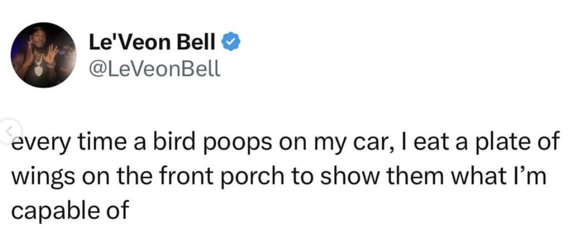 bird-poop