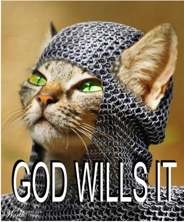 crusader-cat