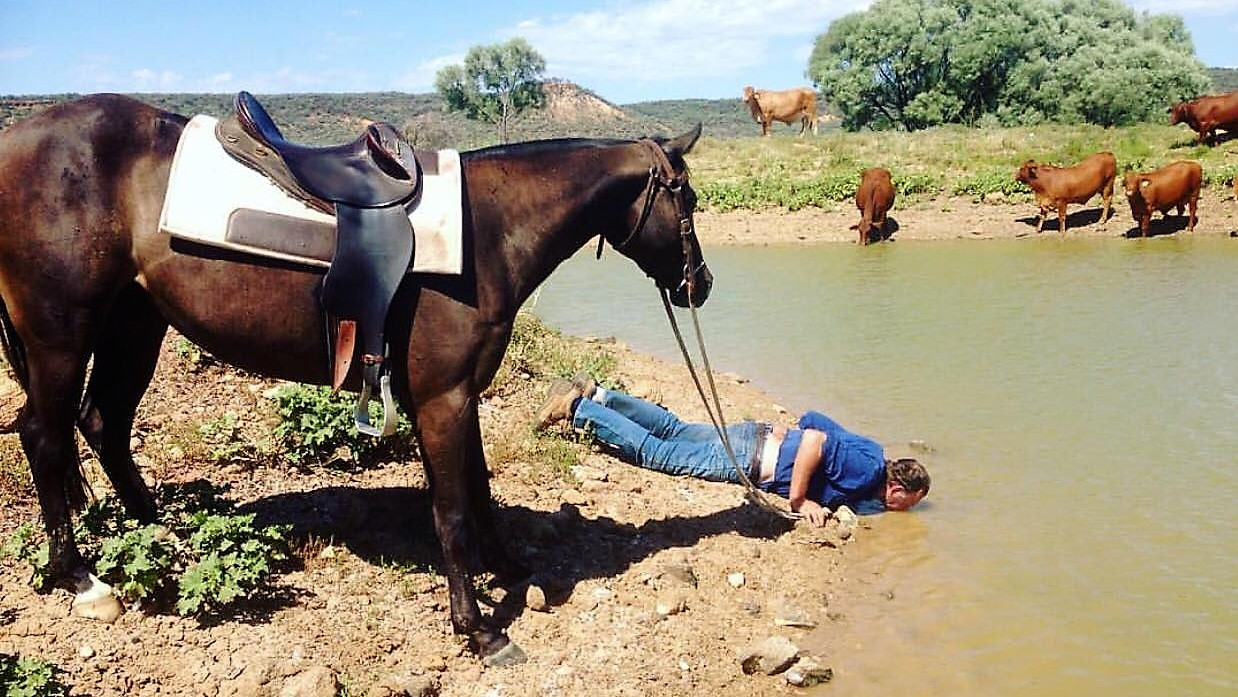 horse-water